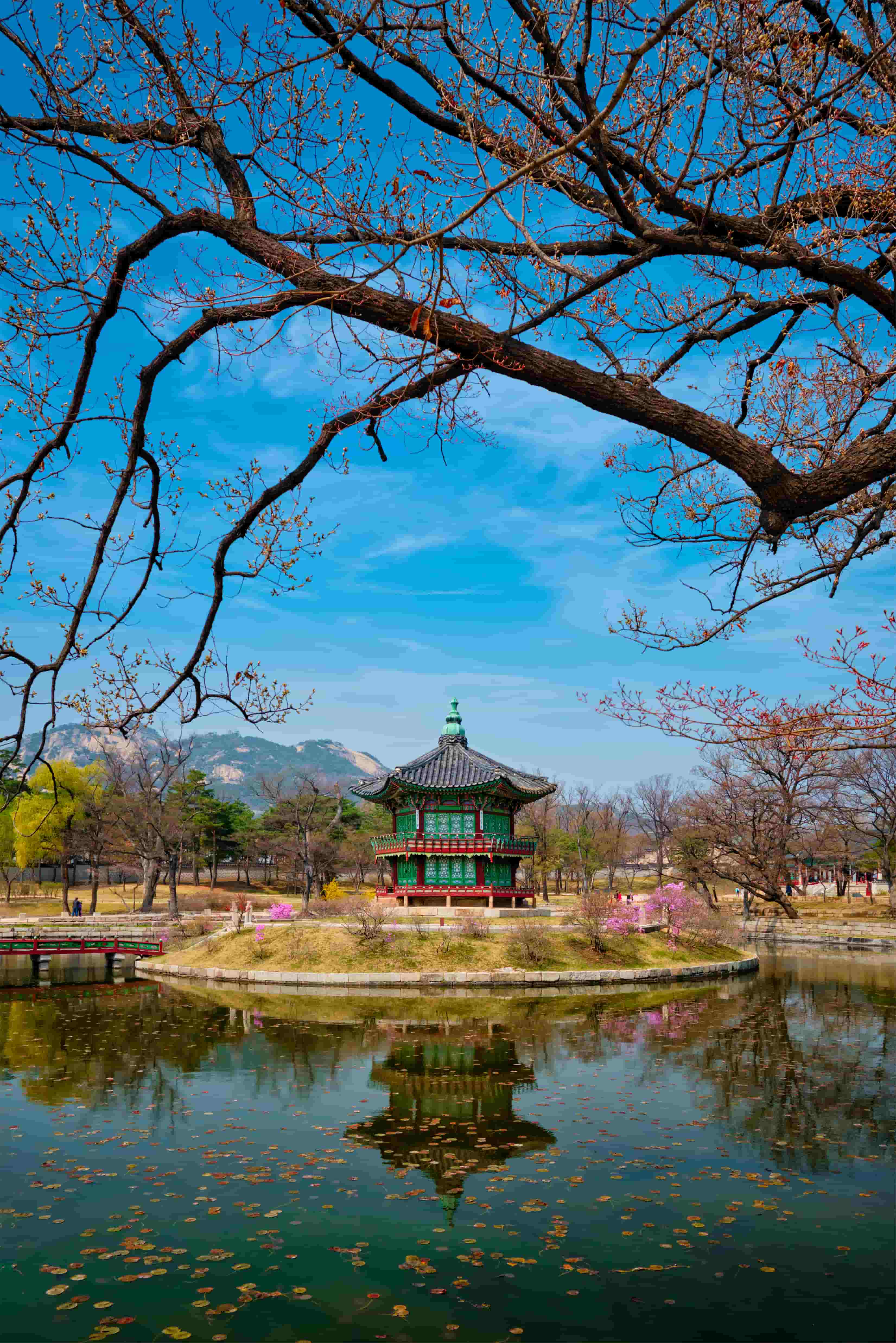 Asia