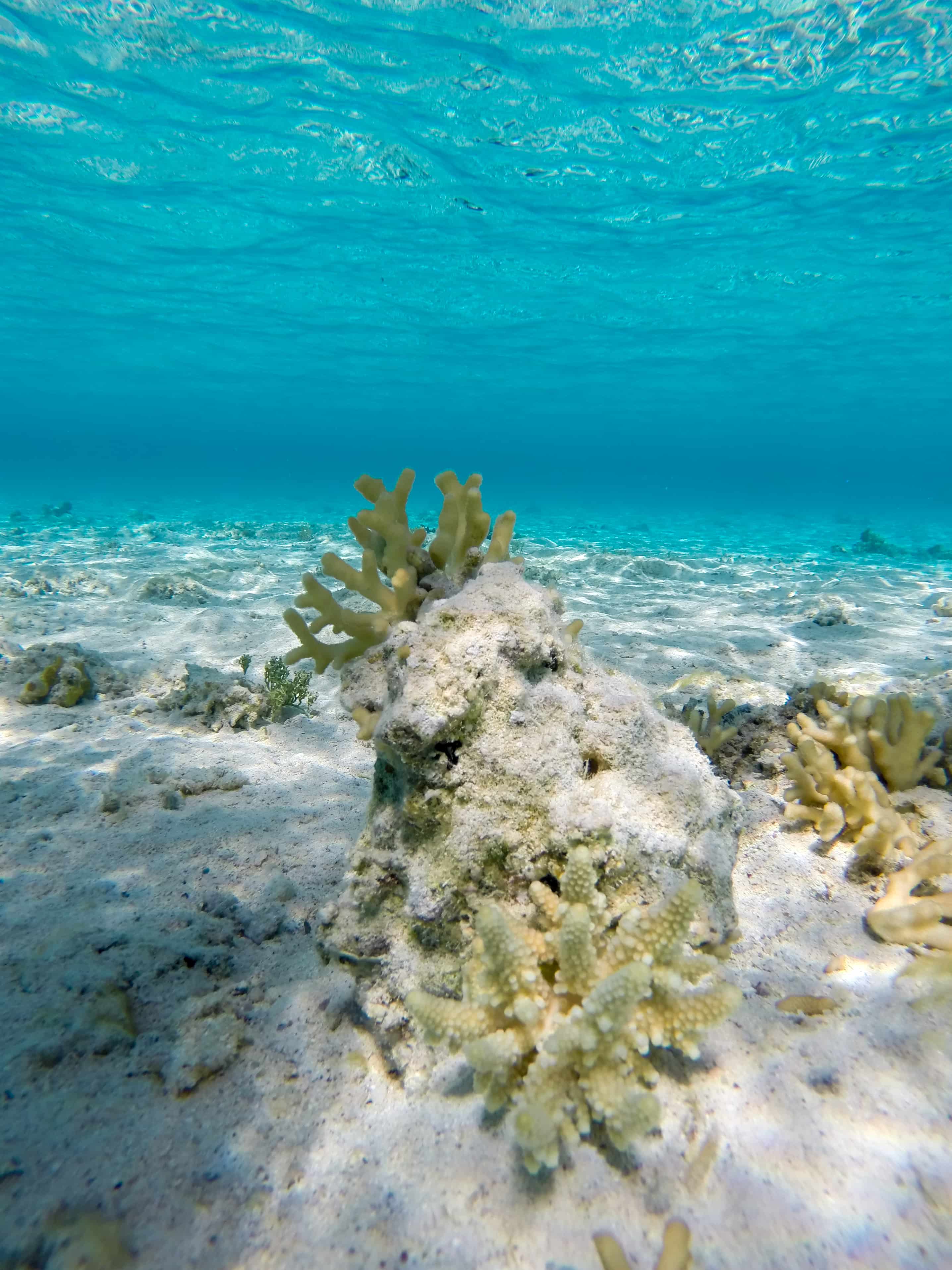 Oceania